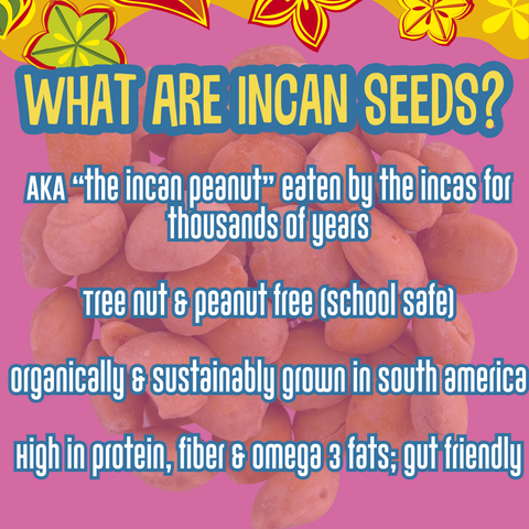 Sweet Crunch Roasted Incan Seeds 5lb Bag Brass Roots