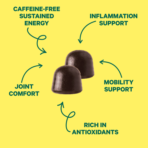 Turmeric & Moringa Lemon Flavor Gummies Joint Health
