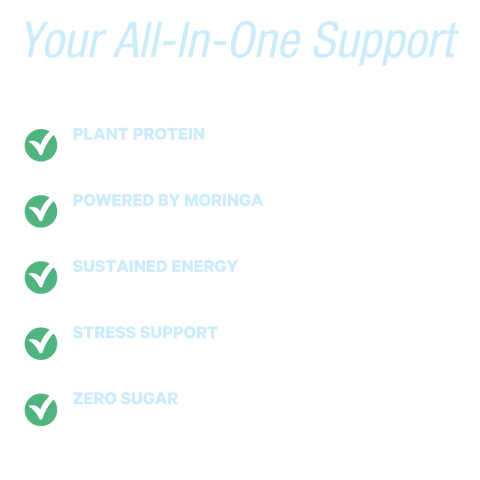 Energy Shake Creamy Vanilla Plant Protein Drink