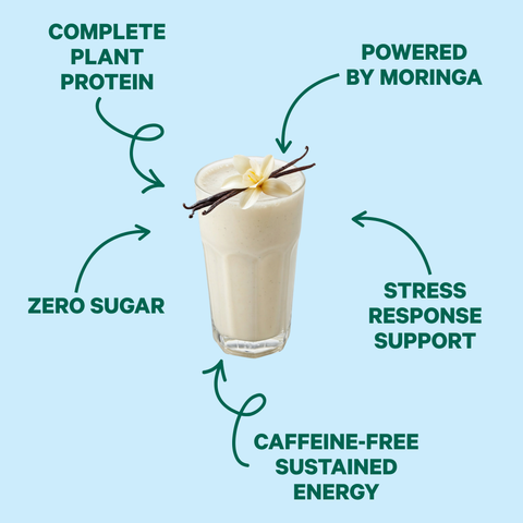 Energy Shake Creamy Vanilla Plant Protein Drink