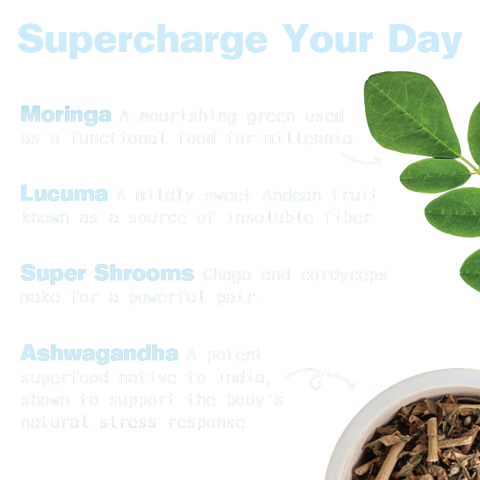 Energy Shake Creamy Vanilla Plant Protein Drink
