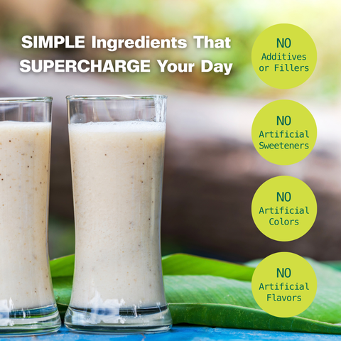 Energy Shake Creamy Vanilla Plant Protein Drink