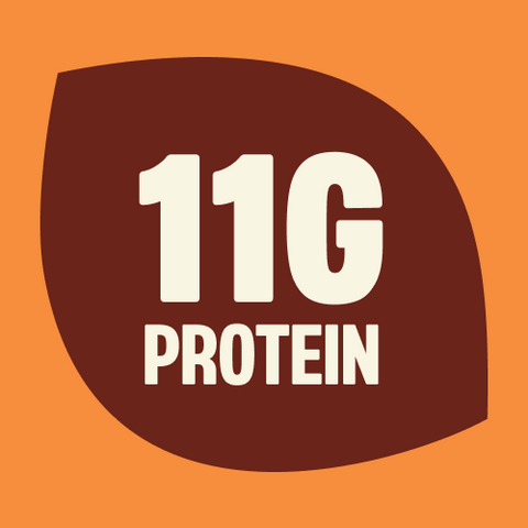 Peanut Butter Chocolate Bars 1.4 oz Protein Bars Mezcla
