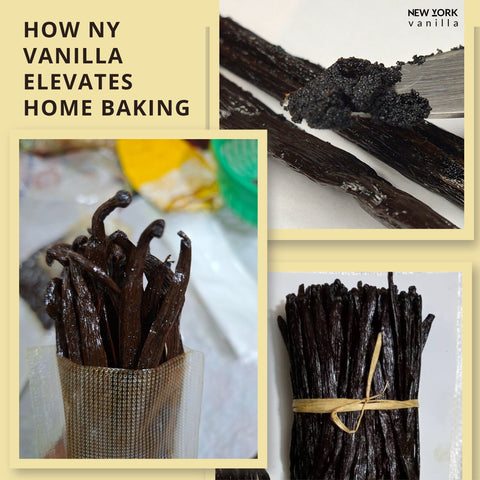 Premium Whole Ugandan Vanilla Beans Grade A for Making Vanilla Extract NY Vanilla