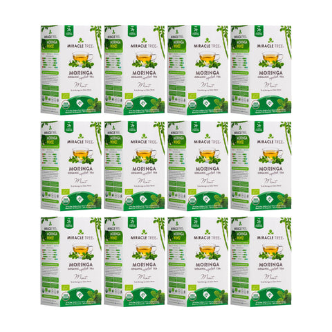 Organic Moringa Tea - Mint - Caffeine-Free Herbal Tea