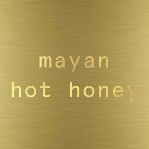 Xilli Mayan Hot Honey Mayan Hot Honey Case 12 Jars x 10 oz