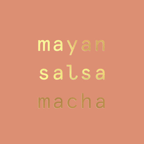 Xilli Mayan Salsa Macha Dried Habaneros & Pepitas Chile Oil 12 Jars