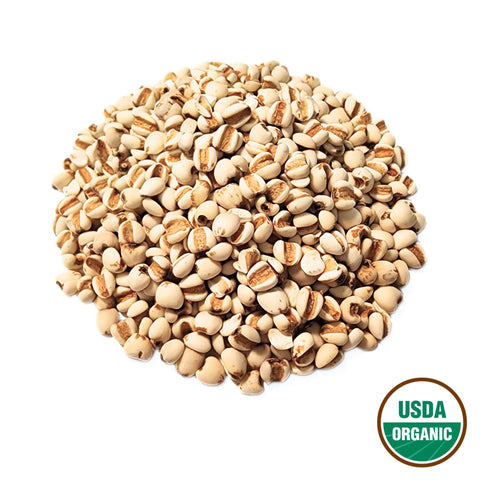 Job's Tears Organic Grade Coicis lacryma-jobi Semen Yi Yi Ren