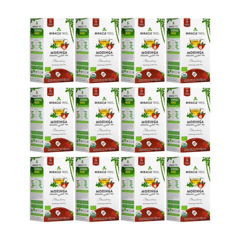 Organic Moringa Tea - Strawberry - Caffeine-Free Herbal Tea