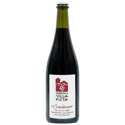 Lambrusco Villa Picta 750ML Agricola