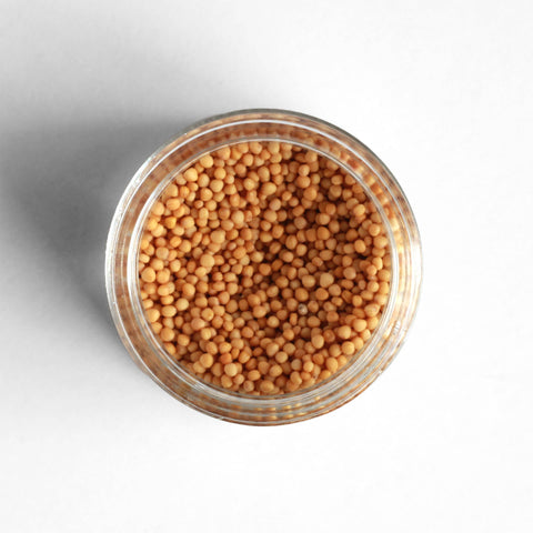 Curio Yellow Mustard Sweet Spicy Seeds 6 Pack Case