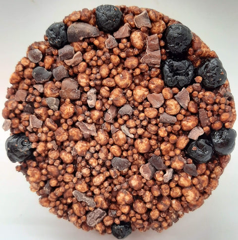 Dark Chocolate Blueberries Cacao Nibs Alegria Bites