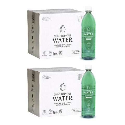 Chlorophyll Water Purified Mountain Spring Water with Essential Vitamins 2 Cases 24 Bottles Chlorophyll Water
