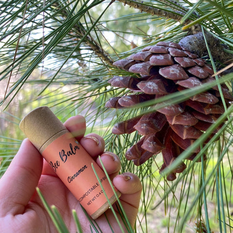Bee Balm Cinnamon Lip Balm Tubes 0.4 oz Farm2Me