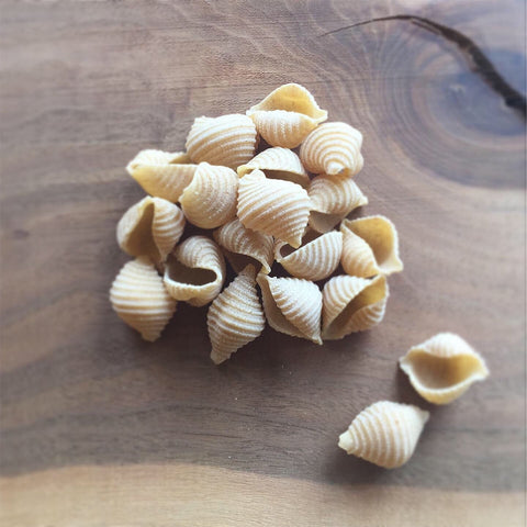 Pastificio Boulder Conchiglie Heirloom Wheat Craft Pasta - 6 Boxes x 16oz