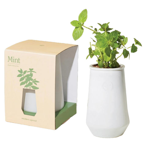 Mint Tapered Tumbler Self Watering Hydro Grow Kit Modern Sprout