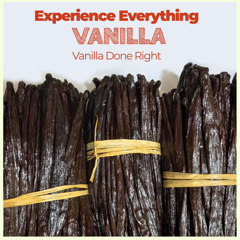 Vanilla Bean Pods Ugandan Bulk 1 lb Premium Vanilla Beans NY Vanilla