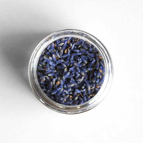 Culinary Lavender Dried Spice 6 Pack Case Curio Oregon Grown