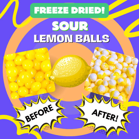 Freeze Dried Lemon Balls