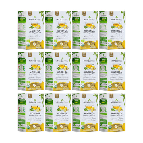 Organic Moringa Tea - Lemon & Ginger - Caffeine-Free Herbal Tea