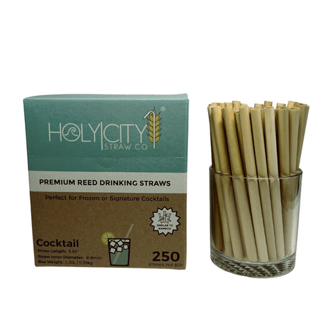 Cocktail Reed Straws 5.5 Inch Natural Straw Holy City Straw Company