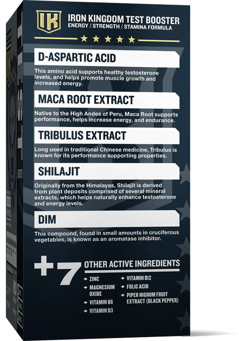 Iron Kingdom Test Booster