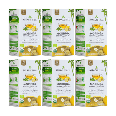 Organic Moringa Tea - Lemon & Ginger - Caffeine-Free Herbal Tea
