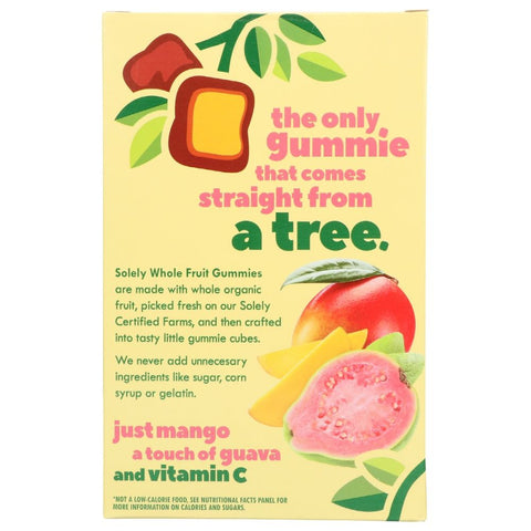 Fruit Gummies Mango Guava Whole Organic Fruit Cubes SOLELY
