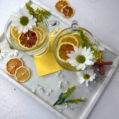Dehydrated Lemon Slices Dried Lemons for Bar & Decor