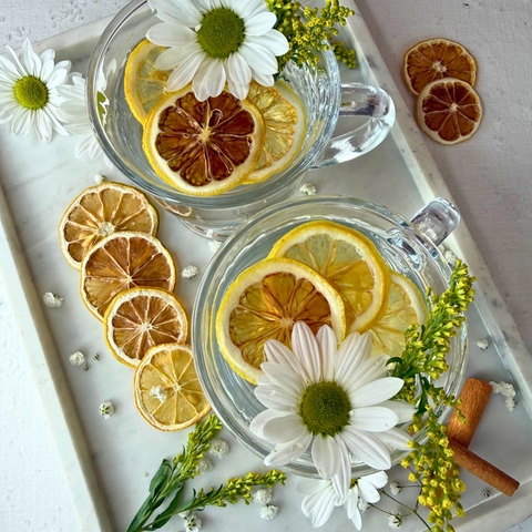 Dehydrated Lemon Slices Dried Lemons for Bar & Decor