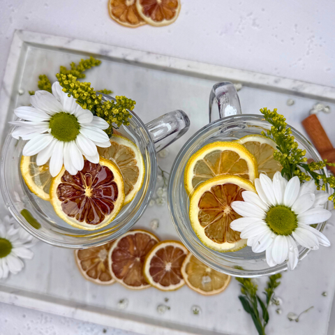 Dehydrated Lemon Slices Dried Lemons for Bar & Decor