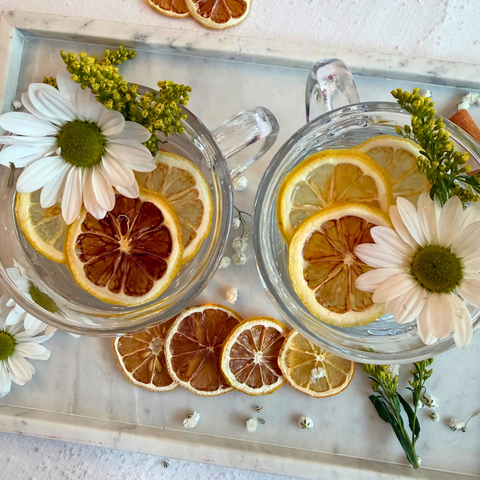 Dehydrated Lemon Slices Dried Lemons for Bar & Decor