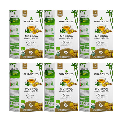 Organic Moringa Tea - Ginger - Caffeine-Free Herbal Tea