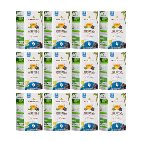 Organic Moringa Tea - Blueberry - Caffeine-Free Herbal Tea