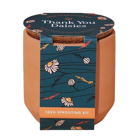Terracotta Seed Sprouting Kit with Coconut Pot Planter - Modern Sprout Daisies