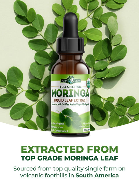 Moringa Leaf Extract Alcohol-Free Liquid Drops 2fl oz Pura Vida