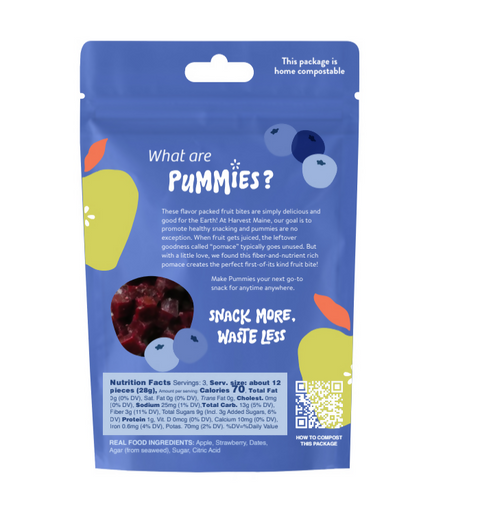 Harvest Maine Blueberry Upcycled Fruit Bites Bag