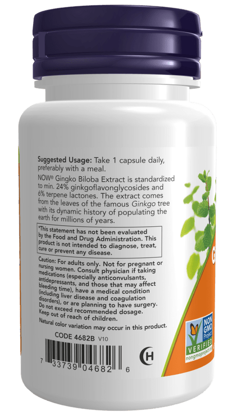 Now Ginkgo Biloba, Double Strength 120 mg Veg Capsules
