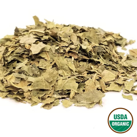 White Mulberry Leaf Organic Grade Tea Bag Cut Morus alba Folium Sang Ye