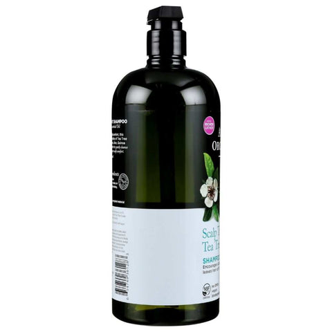 Scalp Treatment Tea Tree Shampoo 32 oz AVALON ORGANICS