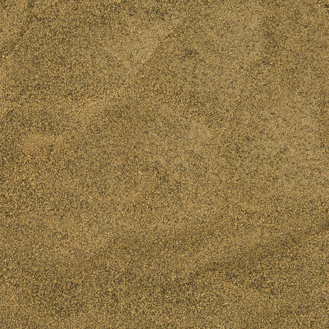 Sea Asparagus Salt Substitute Dried Sea Asparagus