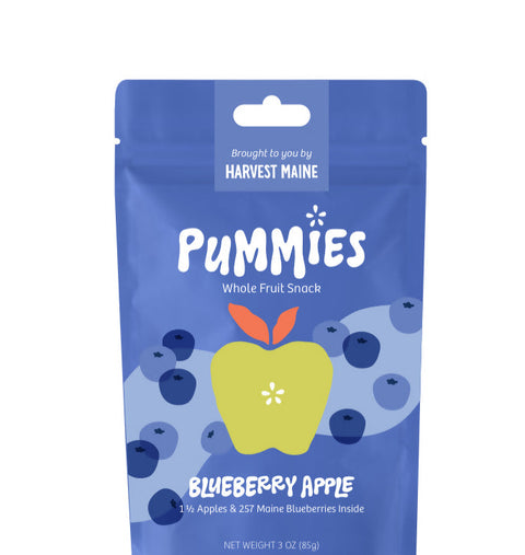 Harvest Maine Blueberry Upcycled Fruit Bites Bag