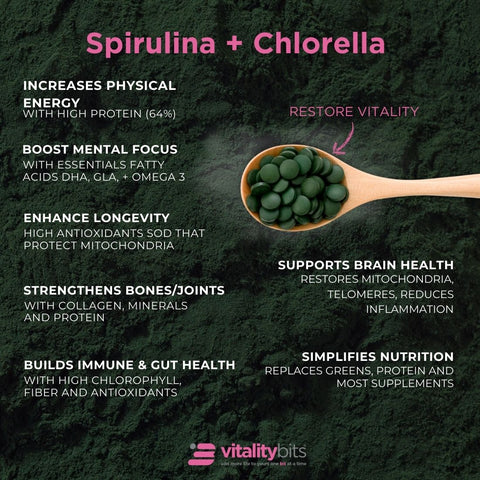 VITALITYbits® Spirulina/Chlorella | Large Bag