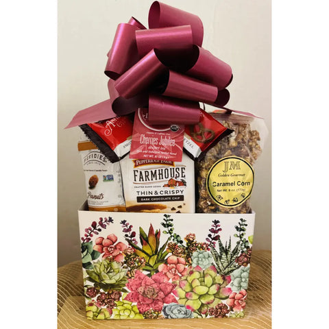 Large Succulent Gift Box - Premium Snack & Treats Gift Basket