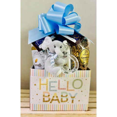 Large Hello Baby Gift Box - Welcome Baby Basket with Plush Rattle & Gourmet Treats
