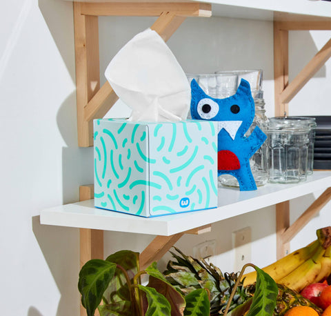 Forest Friendly 3 Ply Bamboo Tissues Who Gives A Crap