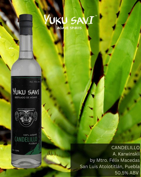 Maguey Candelillo 750ML Mezcal Spirit Yuku Savi