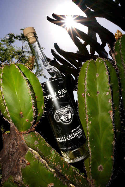 Jabali Cacheton Mezcal 750ML Yuku Savi