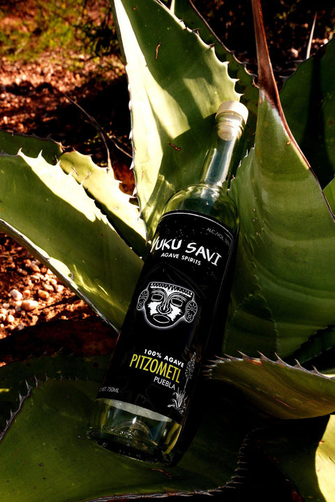 Pitzometl Mezcal 750ML Yuku Savi